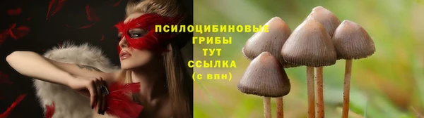 мяу мяу мука Армянск