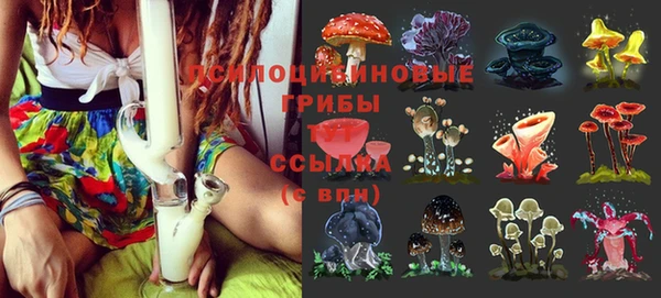 мяу мяу мука Армянск