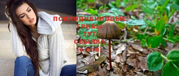 мяу мяу мука Армянск