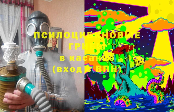 спиды Арсеньев